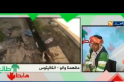 بالفيديو… الشيخ النوي في قمة الدهشة بالكاليتوس