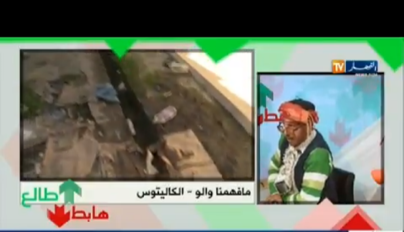 بالفيديو… الشيخ النوي في قمة الدهشة بالكاليتوس