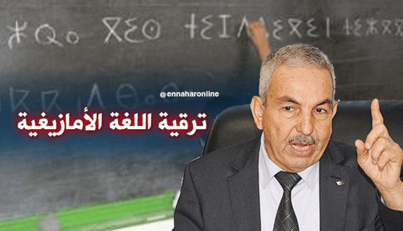 رئيس المجلس الأعلى للغة العربية يشدد على ضرورة ترقية اللغة الأمازيغية