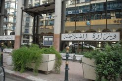 وزير الفلاحة يُقيل مدير ديوان الخضر واللحوم