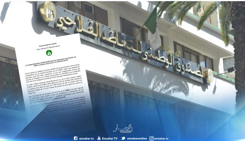 1.4 مليار دينار تعويض للديوان الوطني للحليب ومشتقاته