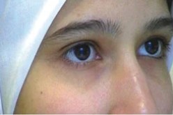 مهرجان سينما المرأة في الأراضي الفلسطينية يحتضن الأفلام الإسرائيلية