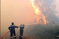 إتلاف 13 هكتارا بغابة “سوبان” ببلدية الشرفة بمعسكر