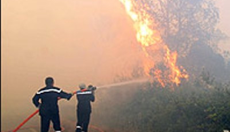 إتلاف 13 هكتارا بغابة “سوبان” ببلدية الشرفة بمعسكر