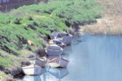 اختفاء صياد بالقالة في الطارف