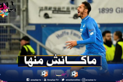 المدير الرياضي لهوفنهايم يُكذب “بلفوضيل”