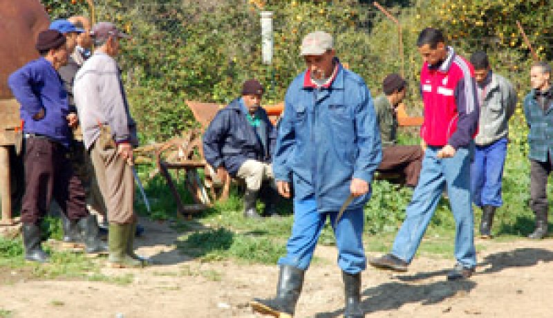 الحكومة تؤمم الأراضي الفلاحية وتلغي حق التنازل نهائيا