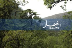 إسترجاع وغرس 880 ألف هكتار من الغابات غير المستغلة