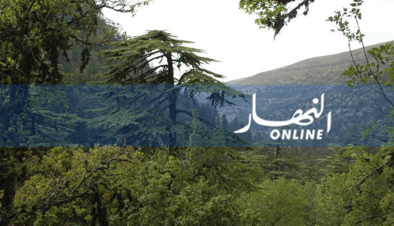 إسترجاع وغرس 880 ألف هكتار من الغابات غير المستغلة