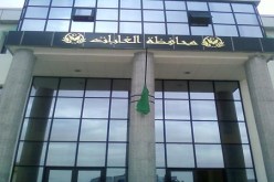 عصرنة المشاتل لتحسين إنتاج الشتائل