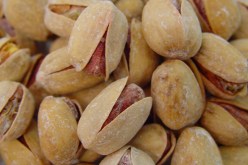 تناول الفستق يخفض من مستوى الكوليسترول