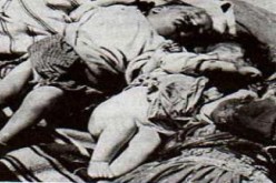 المنظمة الوطنية للمجاهدين تلزم فرنسا بالاعتذار على جرائمها بالجزائر