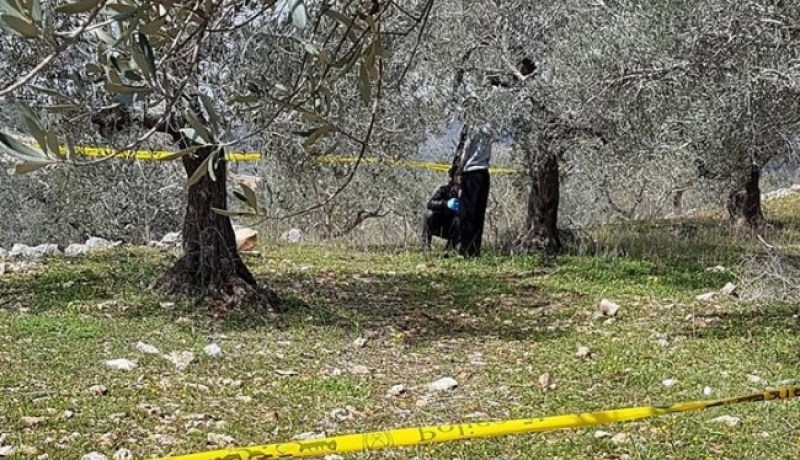غليزان… العثور على جثة اربعيني مشنوقا في شجرة بغابة “الكريار”