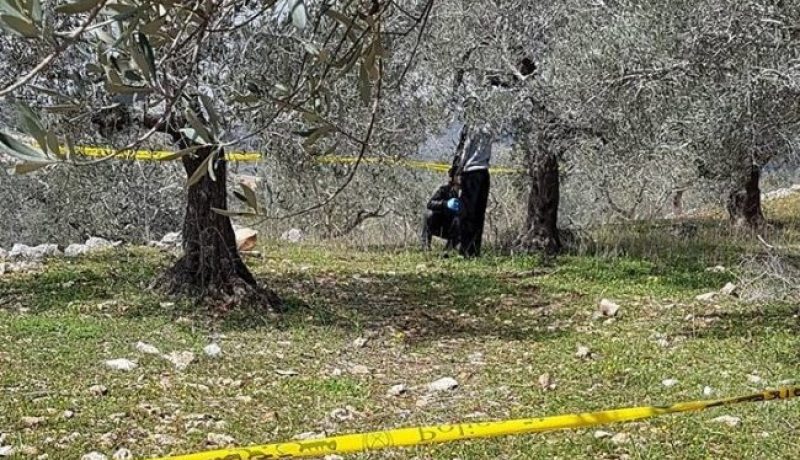 العثور على جثة خمسيني في غابة الحساسنة بعين تيموشنت
