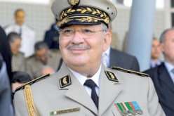 قايد صالح.. لا يحب الكذب
