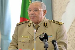 ڤايد صالح في دورية نحو بشار