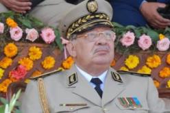 ڤايد صالح يدعو دول الساحل إلى توحيد الجهود في مكافحة الإرهاب لتجنب التدخل الأجنبي