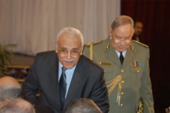 شهادة الفار على مول الدار!