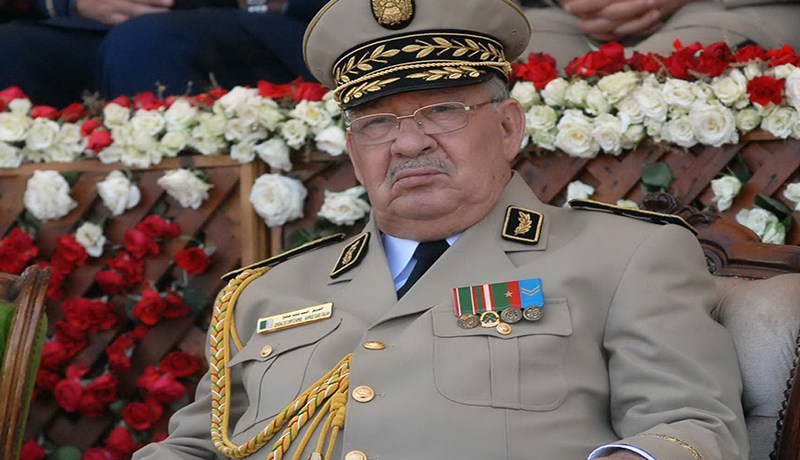 الجيش يدعم الحل السياسي في ليبيا