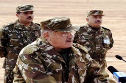 الـ‮ ‬CIA‮ ‬تريد تحويل منطقة الساحل إلى أفغانستان‬