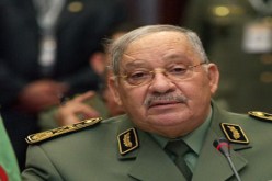 ڤايد صالح يريد منافسة الكليات العالمية