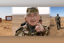 قايد صالح: ” الألغام خلّفت 7300 ضحية”