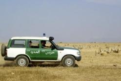 تهريب المئات من الماشية إلى تونس وليبيا لإغراق السوق الوطنية بالممنوعات