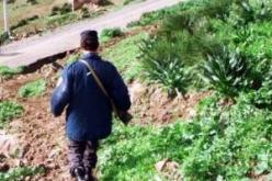 الجنرال بن علي يقود حملة تمشيط في جبال سيار وصحراء خنشلة