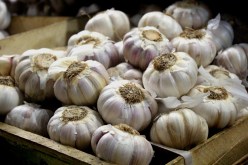 تخزين أزيد من 222 ألف قنطار من الثوم عبر 16 ولاية  