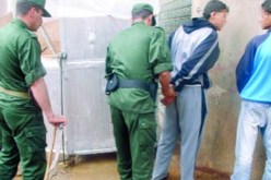 الدرك يفكك شبكة قتلت شابا بعد قضاء سهرة معه في ملهى ليلي بعين تيموشنت