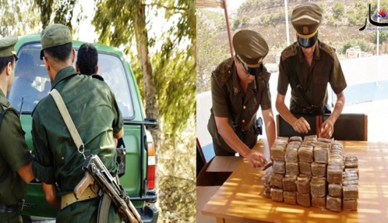 حجز قياسي للمخدرات و بروز نوع جديدة من التهريب