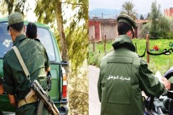 ارتفاع محسوس بالبليدة في عدد الجرائم و حوادث المرور