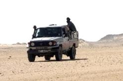 ''بارونات'' التهريب يخوضون حملة تشجير بالشريط الحدودي