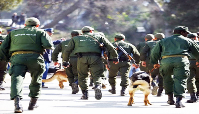 تفكيك شبكة وطنية تتاجر بالأسلحة في‮ ‬الشلف