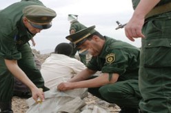 الدرك‮ ‬يعثر على رؤوس إبل تابعة لعائلة القذافي‮ ‬بصحراء الوادي