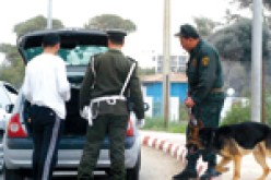 مهربون يرشقون مقر الدرك بالحجارة ويصيبون 12 دركيا بتبسة