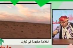 بالفيديو…ذئاب الفلاحة بتيارت هابطين في بورصة الشيخ النوي