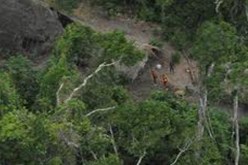 فقدان  أزيد من 207 كلم مربع من  الغابات بالأمازون خلال الشهرين الماضيين بسبب التصحر