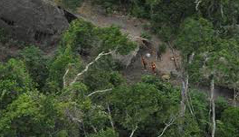 فقدان  أزيد من 207 كلم مربع من  الغابات بالأمازون خلال الشهرين الماضيين بسبب التصحر