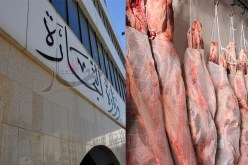 وزارة التجارة تمنح 19 رخصة لاستيراد اللحوم من 6 دول