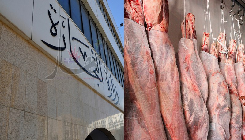 وزارة التجارة تمنح 19 رخصة لاستيراد اللحوم من 6 دول