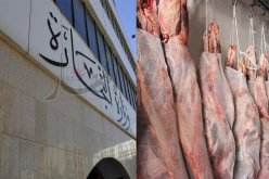 14مستوردا لإغراق السوق الجزائرية باللحوم في رمضان