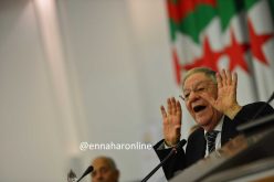 ولد عباس: “الرئيس القادم للجزائر.. ربي عالم بيه وحنا نعرفوه”