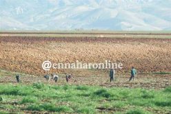 بوعزقي: الغرف الفلاحية تظم 40 بالمائة من الشباب