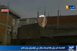 بالفيديو…قرد يعتدي على السكان ويثير الهلع بحي تيقصراين بالجزائر العاصمة