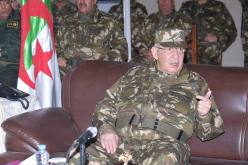 قايد صالح : التحضير القتالي هو البوابة الرئيسية لتحقيق التطور المرغوب