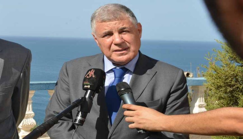 قيطوني يبحث عن شركاء إسبان للاستثمار في الكهرباء والغاز