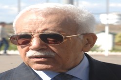 ڤنايزية‮ ‬يكثر ‬من المحاكم