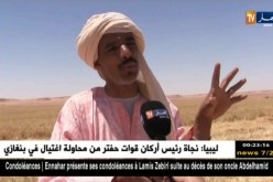 أدرار: الشروع في موسم الحصاد والفلاحون يطالبون بمزيد من الدعم