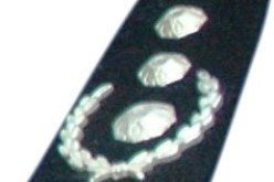 مراهق يطعن  محافظ شرطة  في سوق ببراقي